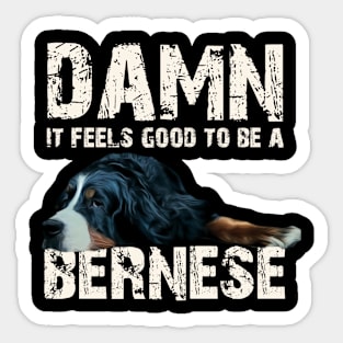 bernese mountain dog Sticker